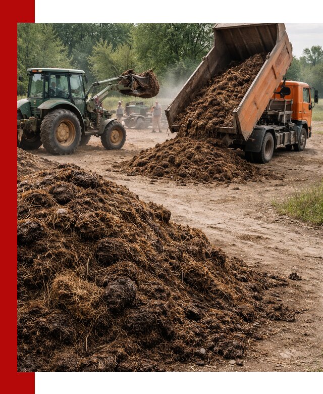 Доставка навоза самосвалами в Кинешме для сельхозпотребностей